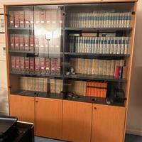 Libreria/ armadio da ufficio con ante in vetro