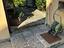 Immagine 18