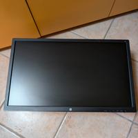 monitor  HP 24  pollici