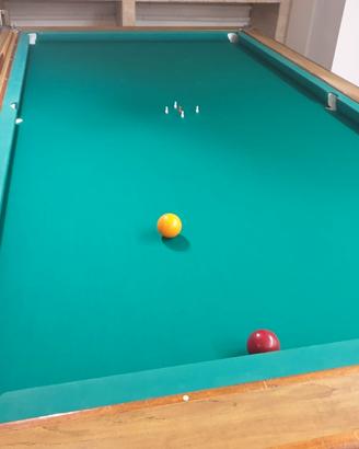 Biliardo professionale 