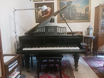 Pianoforte a coda Bluthner