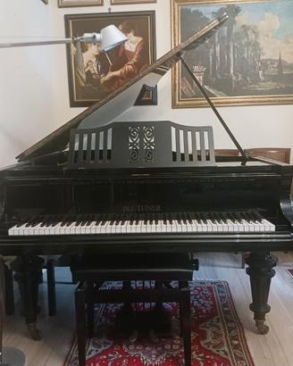 Pianoforte a coda Bluthner