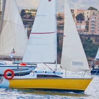 Alpa 19 barca a vela