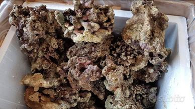 Rocce indonesiane