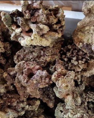 Rocce indonesiane