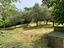 Immagine 14