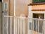 Immagine 12