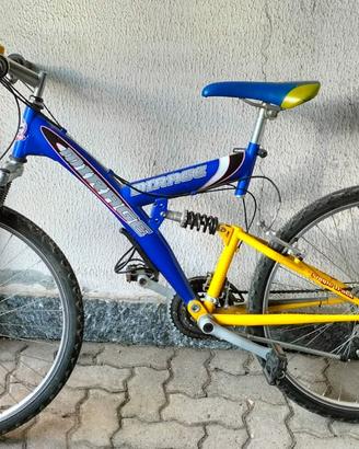 Mountain bike