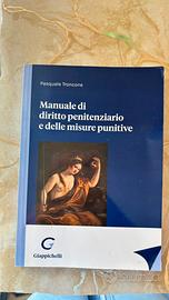 Manuale diritto penitenziario