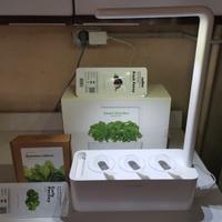 Smart Garden Click and Grow