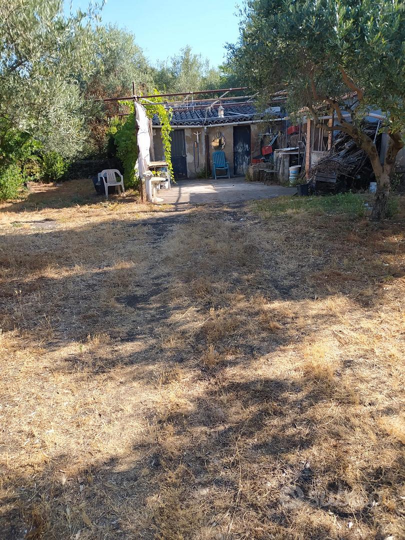 Terreno agricolo - Vista 3