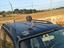 Immagine 26