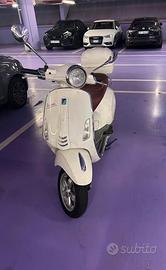 Vespa primavera 2014