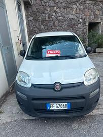 Panda autocarro