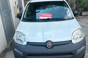 Panda autocarro