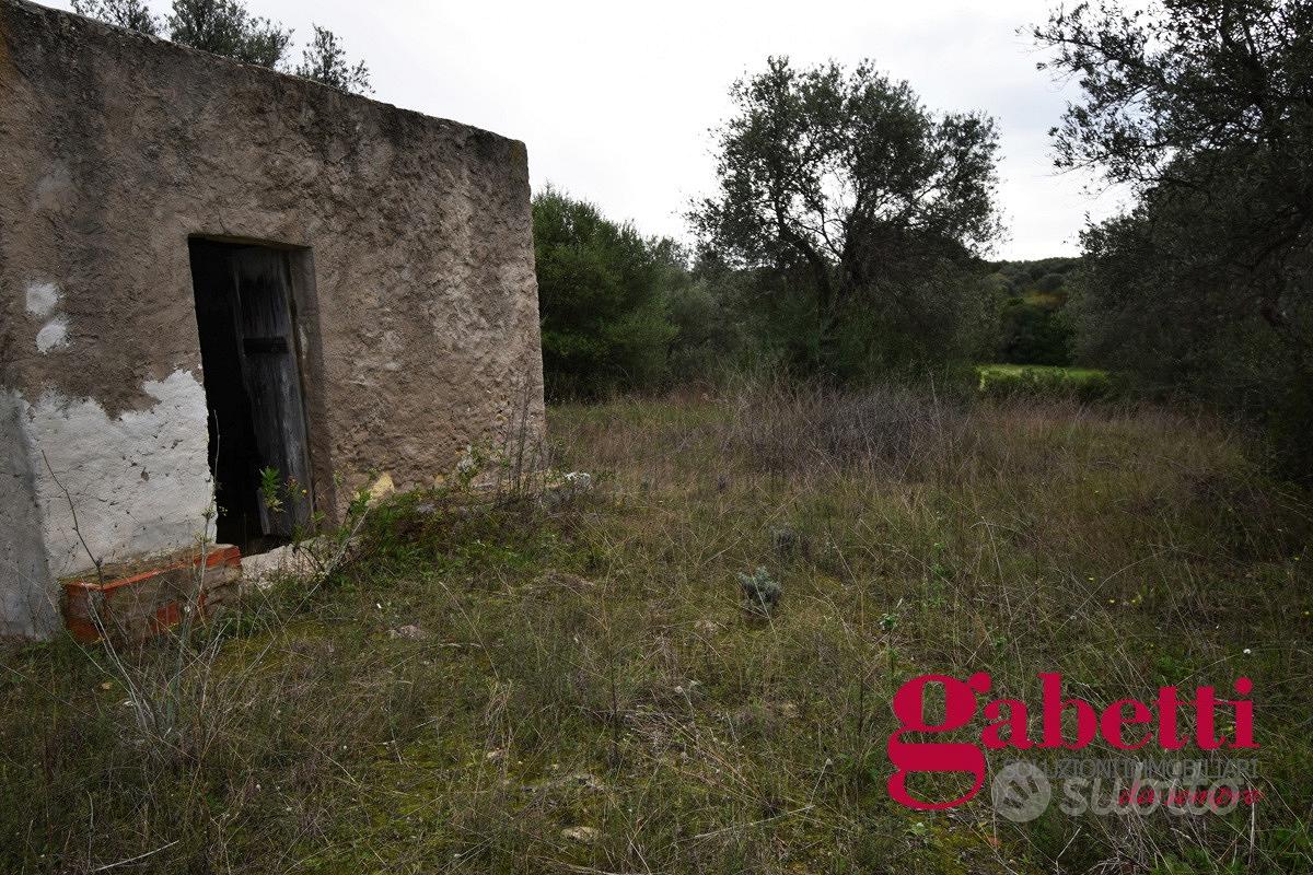 Terreno Agricolo Sorso [cod. rif6000745VRG] - Vista 2