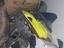 Immagine 4