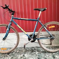 Mountain bike da 26 sport euro 40 