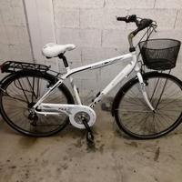 Bicicletta Moser