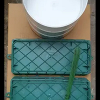 Gabbie in pvc per spugne più ciotole per fiori