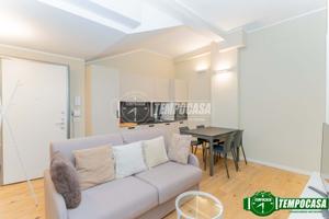 Bilocale ristrutturato con cucina a vista.