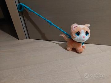 gattino da passeggio parlante