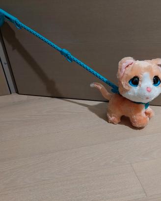 gattino da passeggio parlante