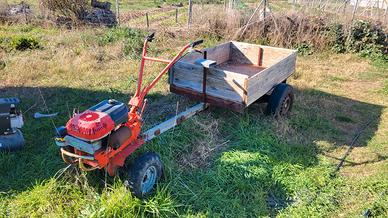 Motozappa, Decespugliatore, Motosega