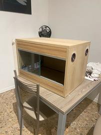 Terrario 60 x 40 in faggio