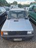 fiat-panda-900-i-e-cat-l
