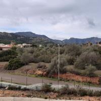 Poggio dei pini terreno 2000 mq pianeggiante