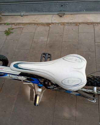 bici da ragazzo 