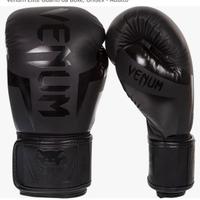 Sacco box leone 60 kg e un paio di guanti