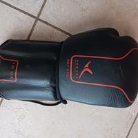 sacco boxe Domyos con guantoni