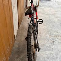 Bicicletta ragazzino/a