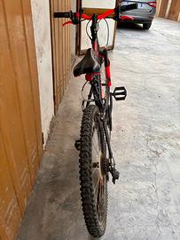 Bicicletta ragazzino/a