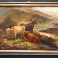  olio su  tela paesaggio armenti scozzesi '800 
