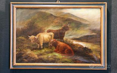  olio su  tela paesaggio armenti scozzesi '800 