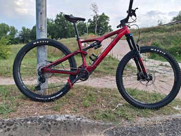 Ebike mtb