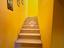 Immagine 11