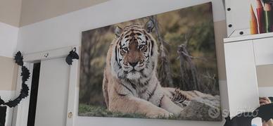 Quadro stampa tigre grande 120x80cm su tela poster
