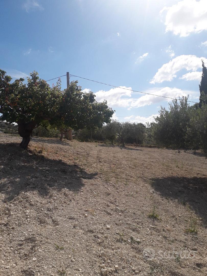 Terreno agricolo - Vista 5