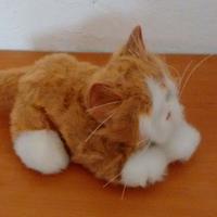 giocattolo gatto furreal