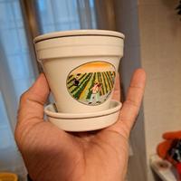 Vaso Villeroy & Boch