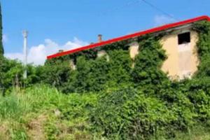 Porzione di casa a Malo (VI)