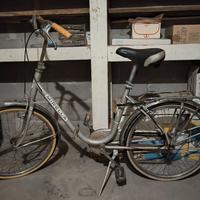 Bicicletta unisex