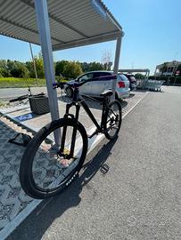Bici c100