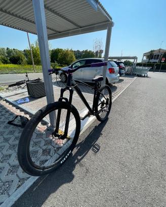 Bici c100