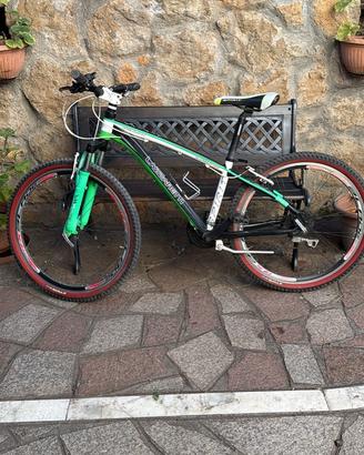 Mountain bike lazzaretti alluminio made in italy