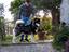 Immagine 2